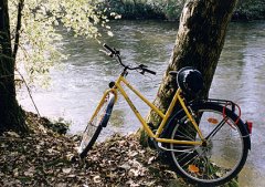 Fahrrad am Baumstamm angelehnt