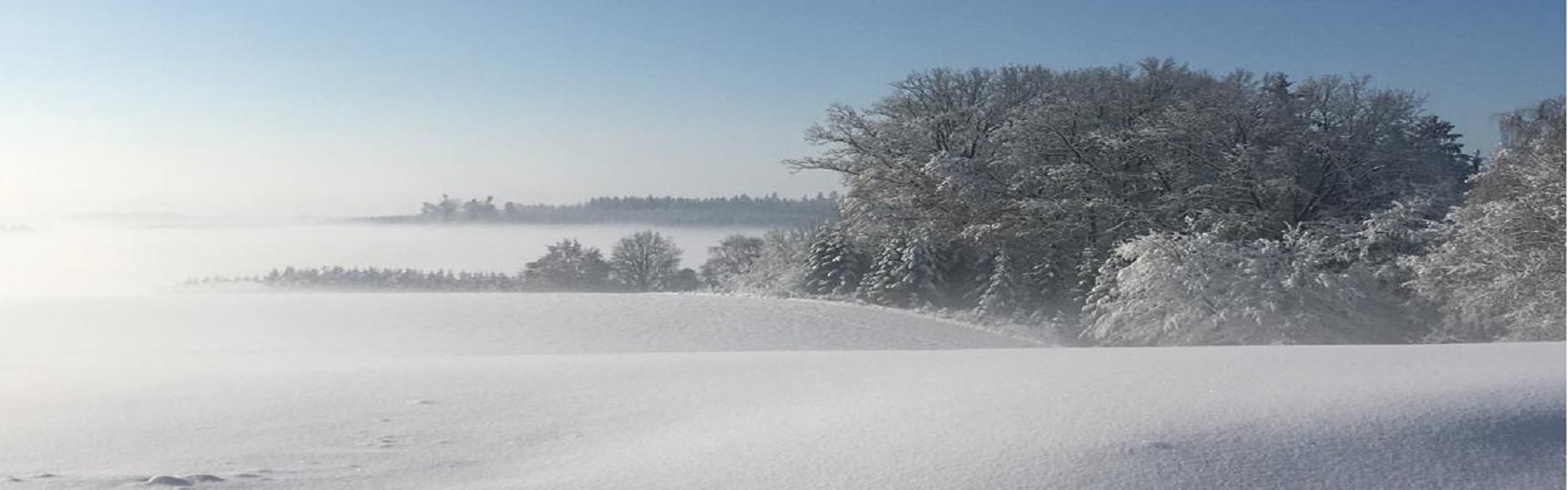 Header Wolfersdorf 1