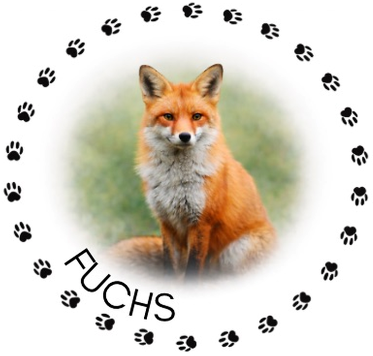 Logo Fuchsgruppe