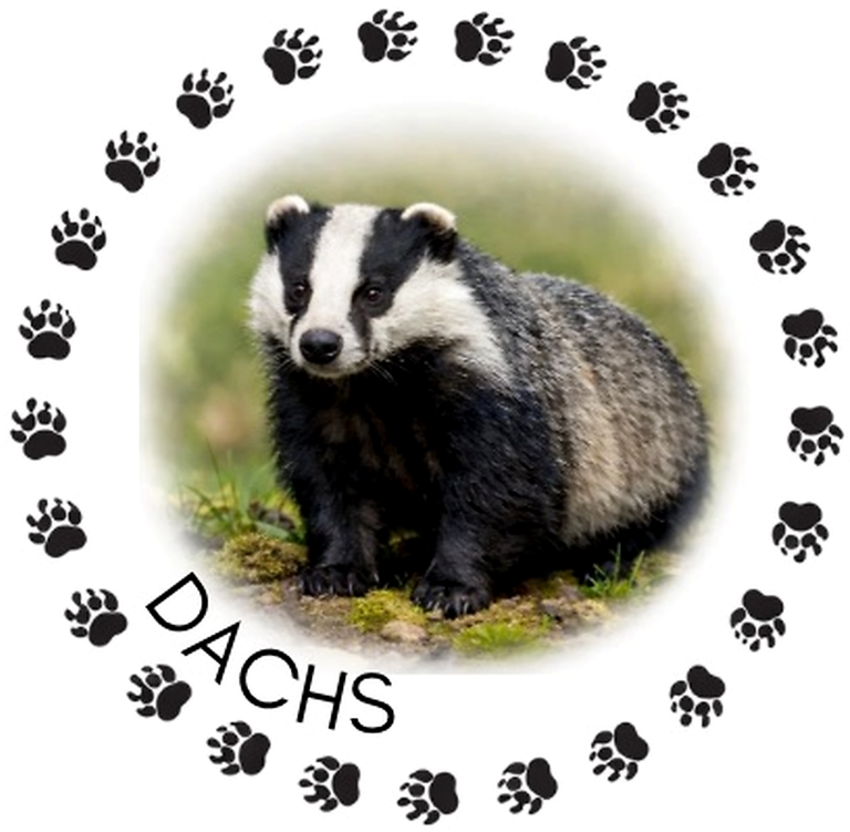 Grossansicht in neuem Fenster: Logo Dachsgruppe